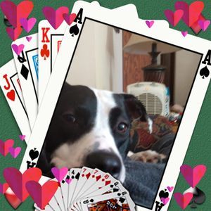 Meet your Posher, Wendy